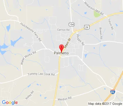 logo-image - palmetto-ga